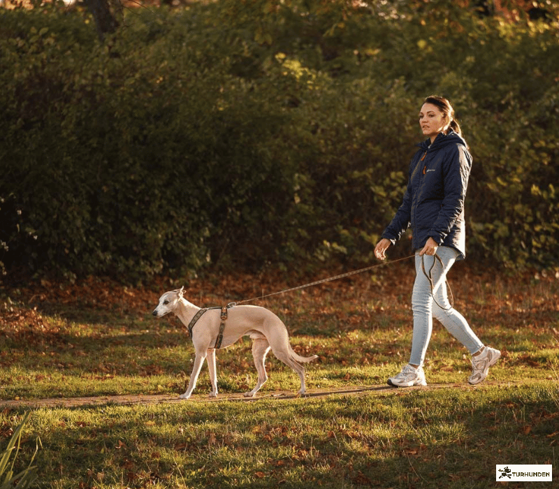 Non-stop dogwear Line Harness 5.0 Rachel Pohl Edition