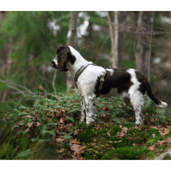 Non-stop dogwear Line Harness 5.0 Rachel Pohl Edition