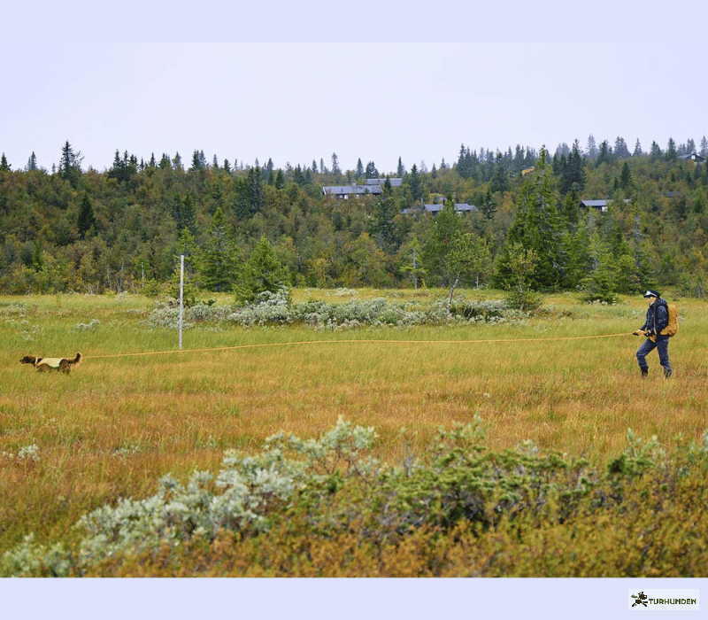 Non-stop dogwear Protector Round Long Line