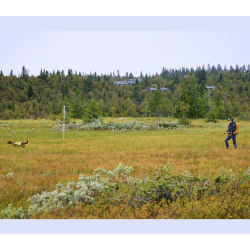 Non-stop dogwear Protector Round Long Line