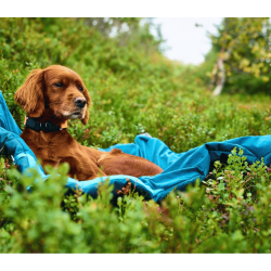 Non-stop dogwear Trekking Dog Bed