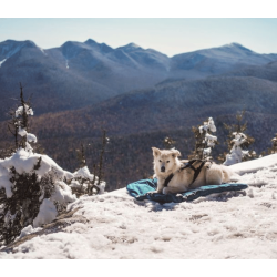 Non-stop dogwear Trekking Dog Bed