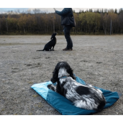 Non-stop dogwear Trekking Dog Bed