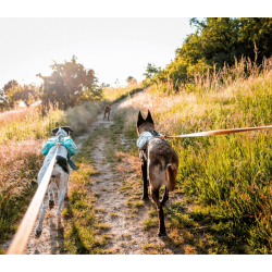 Non-stop Dogwear Trail Light - Teal 