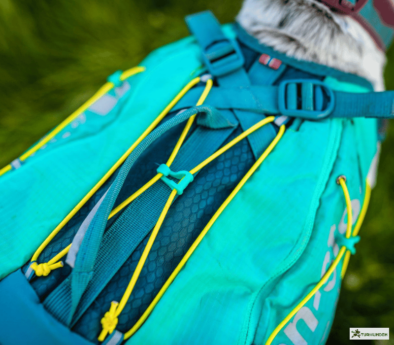 Non-stop Dogwear Trail Light - Teal 