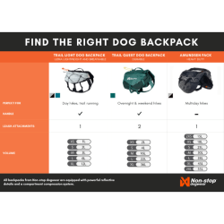 Non-stop Dogwear Trail Light - Teal 