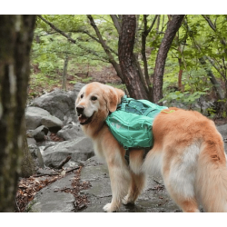 Non-stop Dogwear Trail Light - Teal 