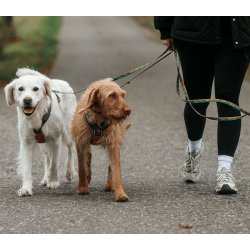 Non-stop dogwear Trail quest Leash Rachel Pohl edition