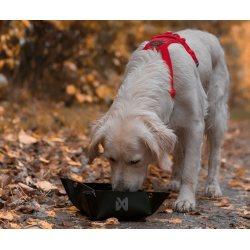 Non-stop dogwear Trekking Bowl