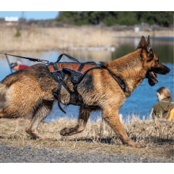 Non-Stop dogwear Rock Harness - LONG