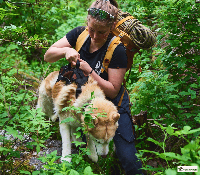 Non-Stop dogwear Rock Harness - LONG