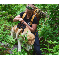 Non-Stop dogwear Rock Harness - LONG