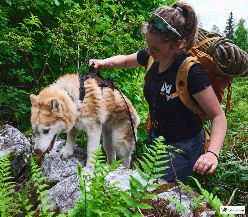 Non-Stop dogwear Rock Harness - LONG