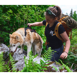 Non-Stop dogwear Rock Harness - LONG