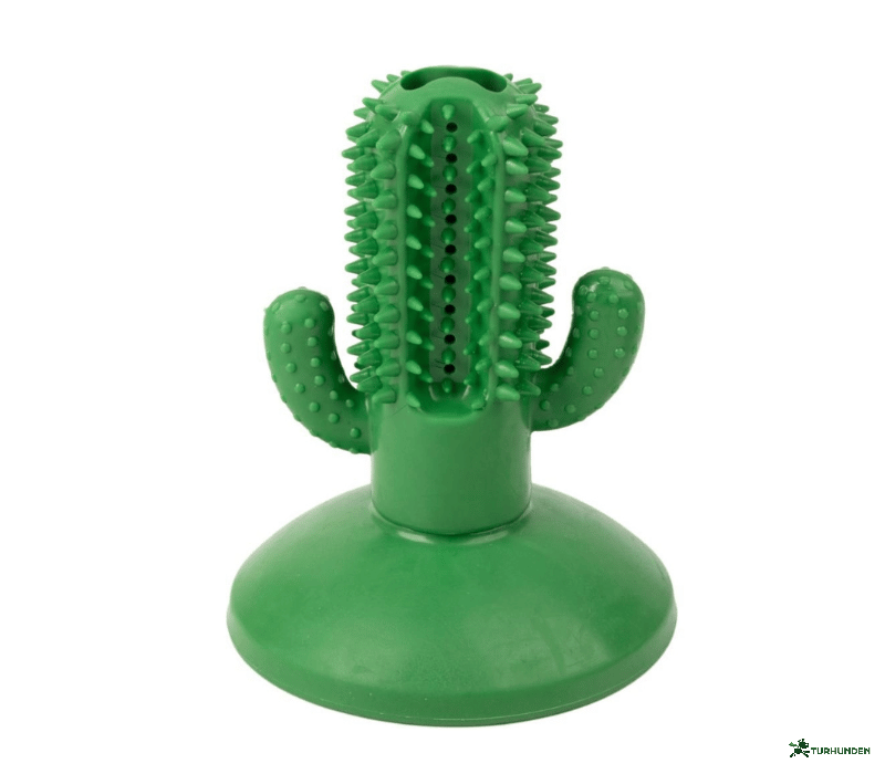 Nordic Paws Chewy Kaktus