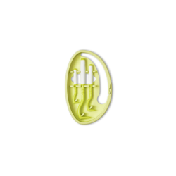 O'Tom Tick Twister ClipBox