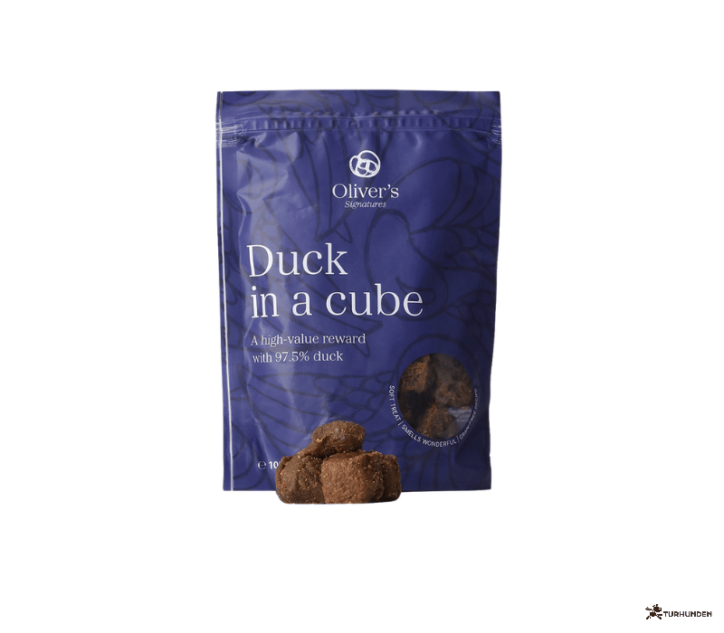 Oliver's Signature Duck in a Cube