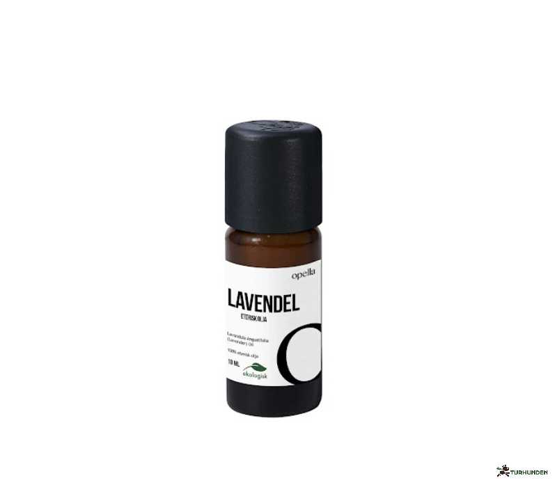 �terisk olie Lavendel �kologisk