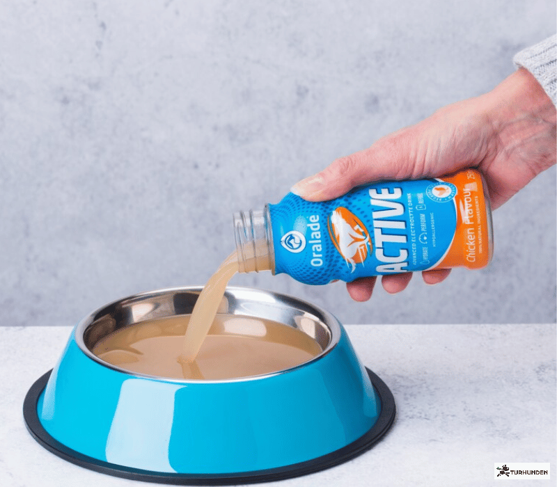 Oralade Active 250 ml