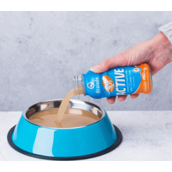 Oralade Active 250 ml