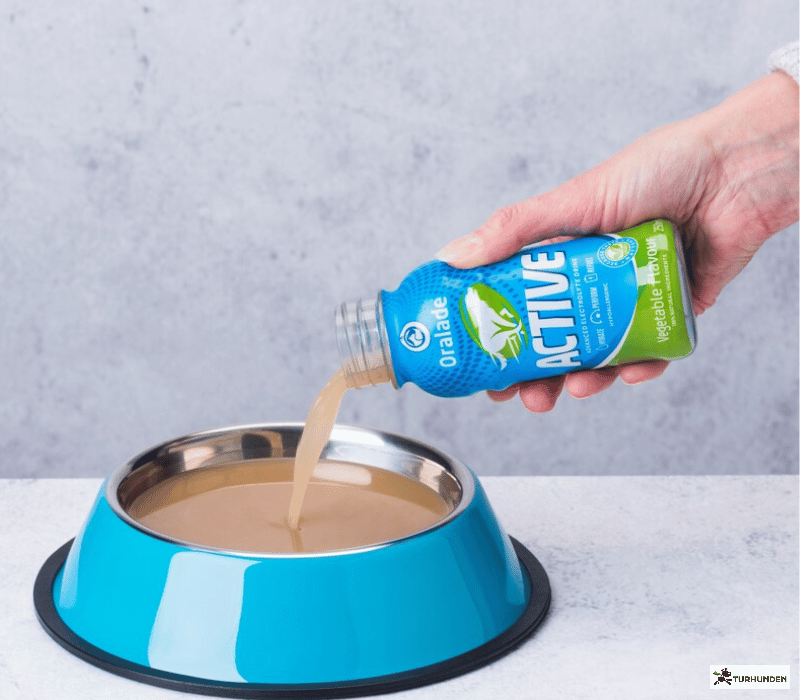 Oralade Active 250 ml