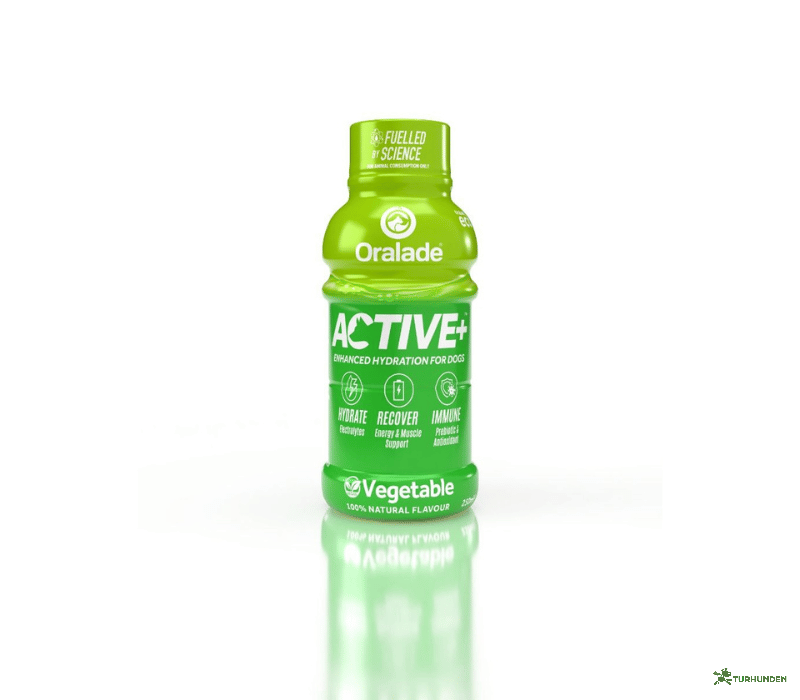 Oralade Active 250 ml