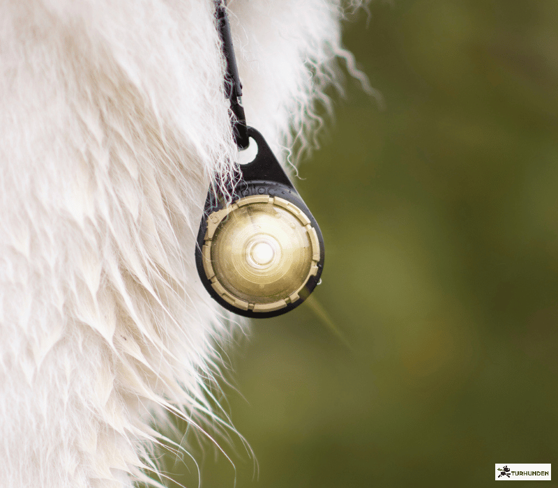 Orbiloc Dog Dual - Gold