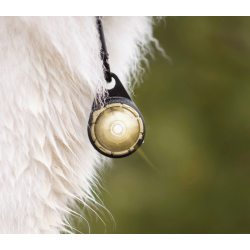 Orbiloc Dog Dual - Gold