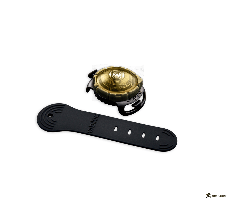 Orbiloc Dog Dual - Gold