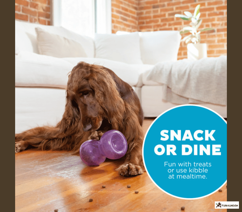 Outward Hound - Double Snoop