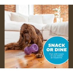 Outward Hound - Double Snoop