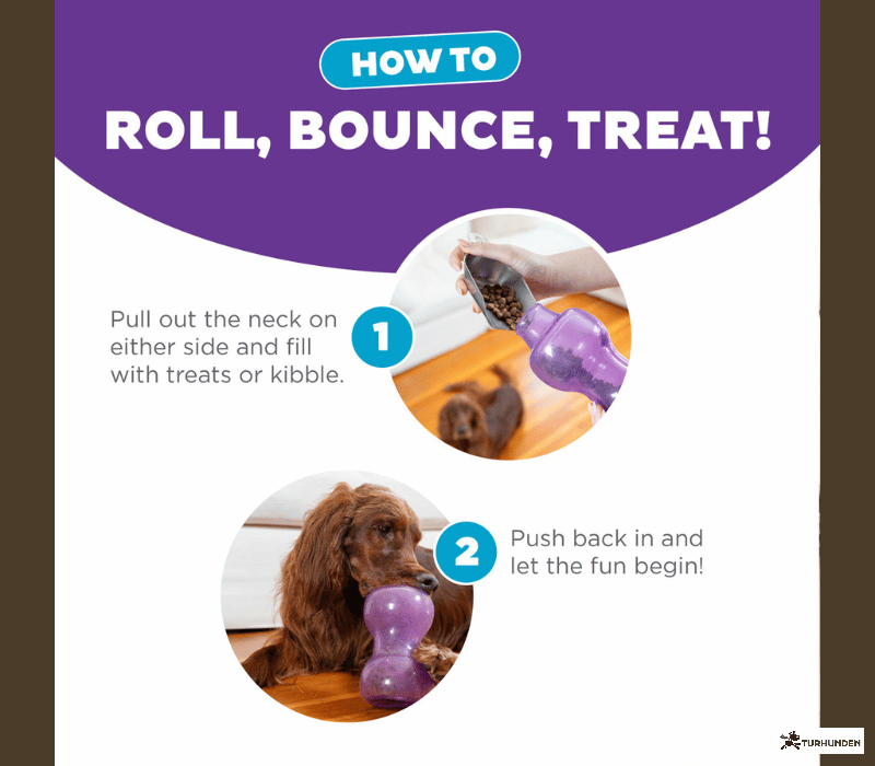 Outward Hound - Double Snoop