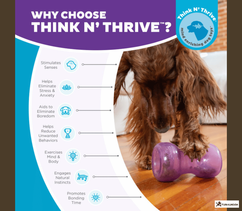 Outward Hound - Double Snoop