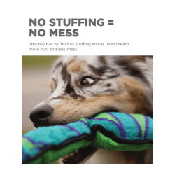 Outward Hound Durablez Snake