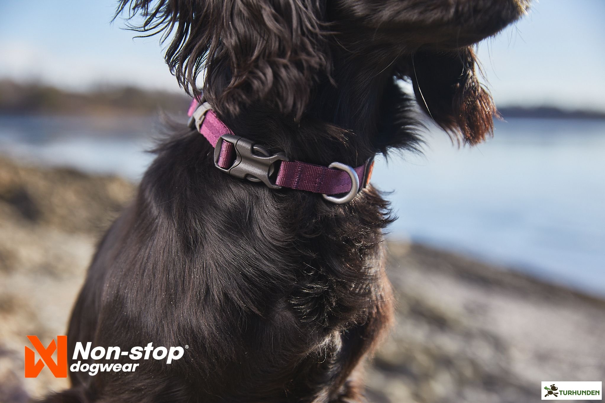 Non-stop dogwear Tumble Collar - Lilla