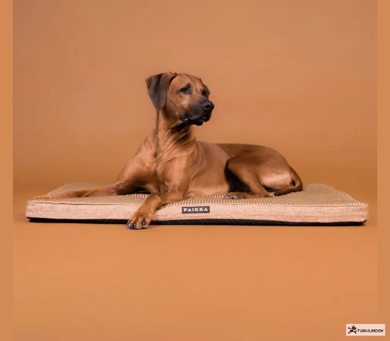 PAIKKA Cooling Orthopedic Mattress � Taupe