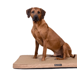 PAIKKA Cooling Orthopedic Mattress � Taupe