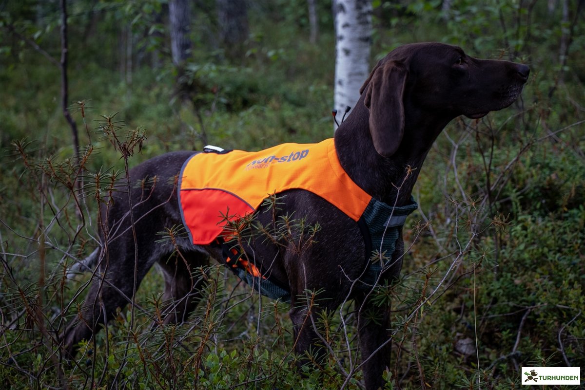 Non-stop dogwear Protector Vest