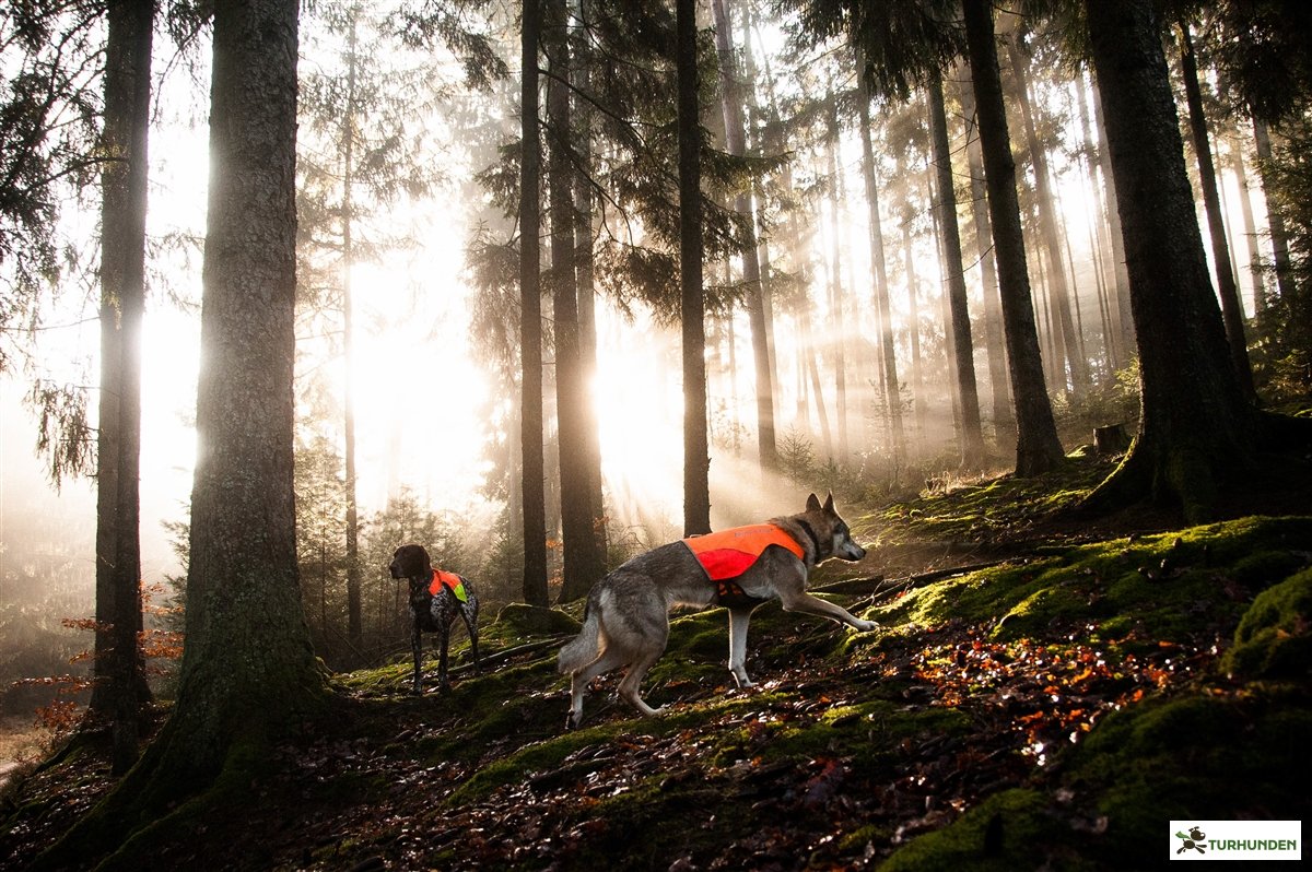 Non-stop dogwear Protector Vest