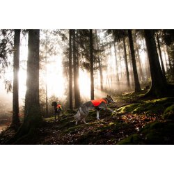 Non-stop dogwear Protector Vest