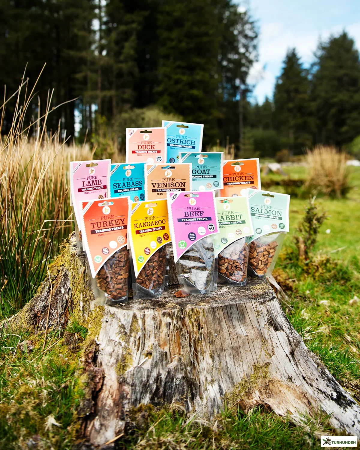 JR Pure Training Treats