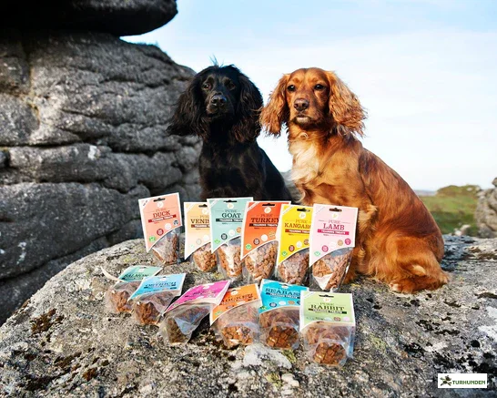 JR Pure Training Treats