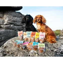 JR Pure Training Treats