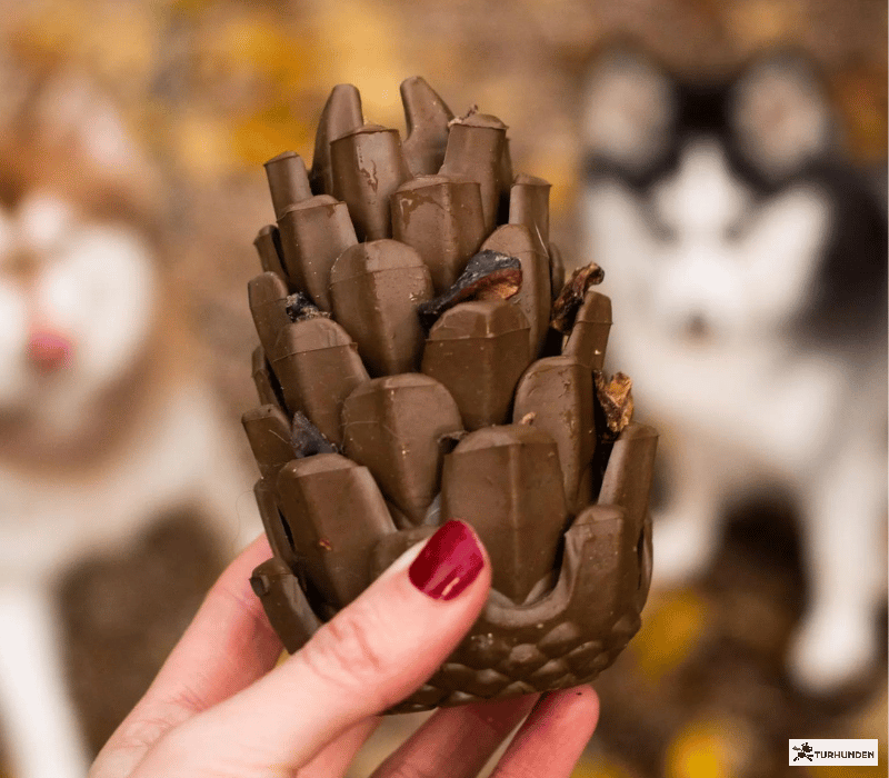 Pinecone Puzzletoy