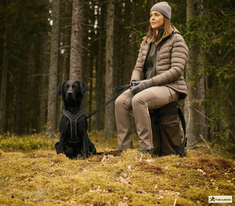 Pinewood Abisko/Brenton Damebukser- kort benl�ngde