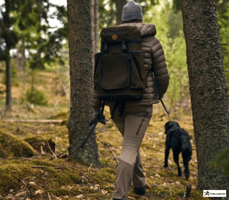 Pinewood Abisko/Brenton Damebukser- kort benl�ngde