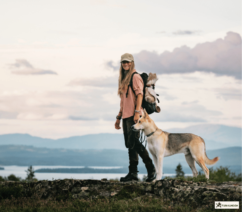 Pinewood Caribou Bukser / Dame