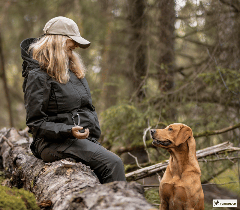 Pinewood Dogsport Trainer Bukser - dame