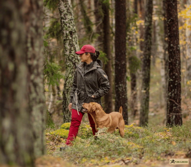 Pinewood Dog Sports Trainer Extreme Jakke - Dame