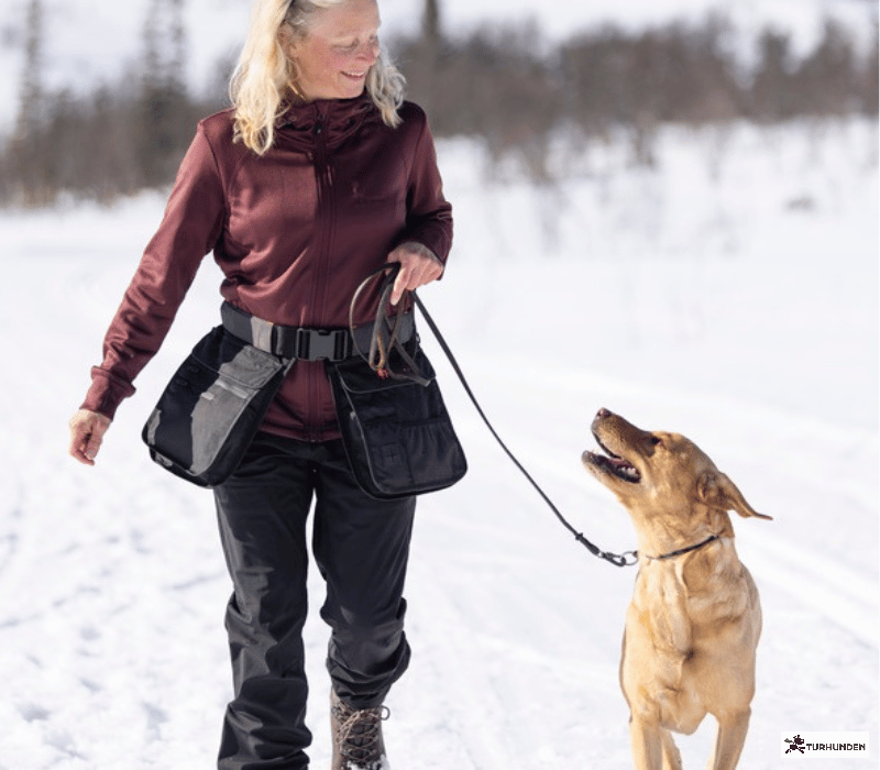 Pinewood Dog Sports Utility Blte